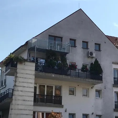 Appartement Grigorescu Lux
